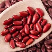 High Quality White or Red Kidney Bean with Reasonable Price! !
