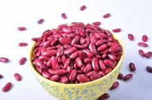Red Kidney Beans Light Speckled Kidney Bean Big and Full Good Quality
