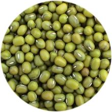 Wholesale Green Mung Beans / Green Gram /Moong Dal