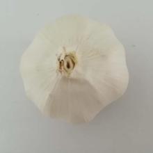 2018 Selling The Best Quality Cost-Effective Products Garlic