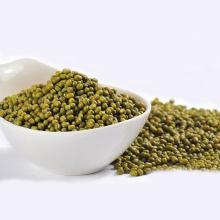 2018 Fresh Competitive Price High Quality Green Mung Beans