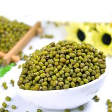 Price of Dried Green Mung Beans/ Green Moong Beans