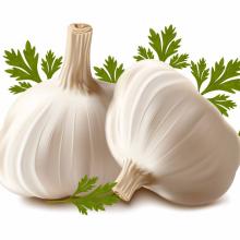 Bulk China Natural Fresh White Garlic for Sale