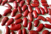 Chinese Dried  Dark   Red   Kidney  Bean,  British  Type