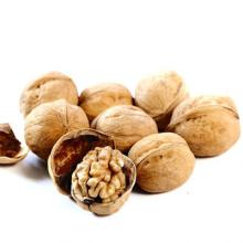 Chinese Walnuts Kernels Halves Dried Walnut Nuts