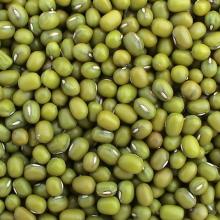 Competitive Price  Whole   Green   Mung  Bean
