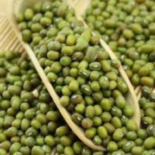 Fresh Crop Green Mung Beans with Reliable Price
