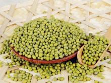 Price of Dried Green Mung Beans/Masoor Dal/ Green Moong Beans