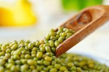Wholesale Premium Agriculture Organic Dried Green Mung Bean