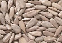 Sunflower Seeds Kernels Best Selling
