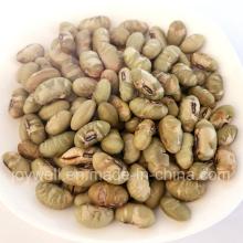 High Quality Pure Roasted Edamame Wholesale Price