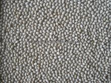 Chinese Origin White Pea Bean