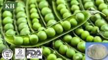 High Quality Non-GMO Pea Protein Powder 80%