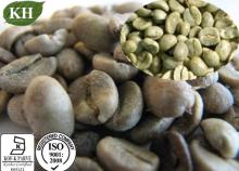 Green Coffee Bean Extract 50% Total Chlorogenic Acids