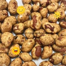 Half Coated Roasted Peanut OEM Service in Retail Packing