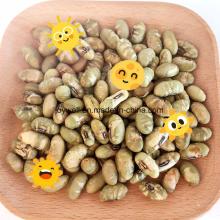 Yellow Edamame  Roasted  and  Salted  Popular  Snack  in Europe