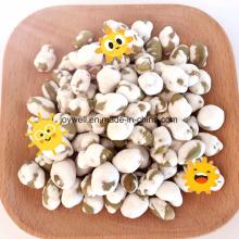 Coated Roasted White Edamame Sales in Stand Zip Bag