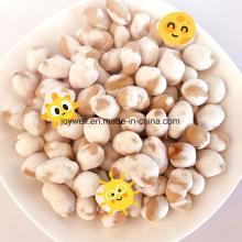 Salty Yellow Coated Roasted Peas in Retail Stang Bag OEM