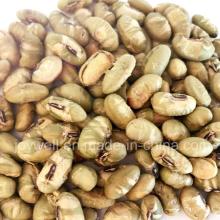 Organic Salted Roasted Edamame Bulk Packing