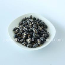 Salted Natural Healthy Viatamins Soya Bean Snacks