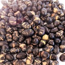 Yummy Natural Roasted Salted Black Bean OEM Service