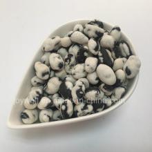 Roasted Coated Healthy Black Bean Snacks for Sale