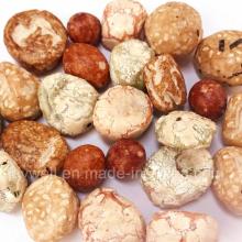 Middle East Popular Colorful Peanuts Crackers Bulk Packing