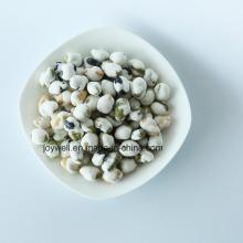 Wasabi Flavor Flour Coated Bean Mix Bulk Packing