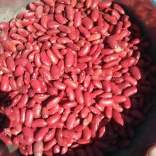 Bulk Quantity Light Purple Speckled Kidney Beans