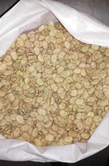 Peeled Horse Bean 50-60g/100PCS Qinghai Origin