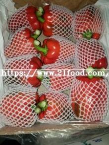 Cheap Fresh Green Pepper From China in Mixture Container