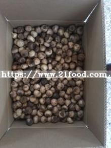 100% Pure Inner Black Solo Black Garlic