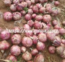 New Crop Fresh Red Onion (5-7cm)