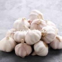 Global  Gap  Certified Normal White  Garlic 