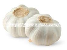 Fresh New Crop Red Garlic