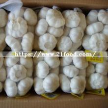 Small Packing Pure White Garlic