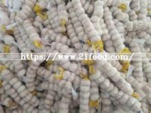 Top Quality Fresh Garlic Small Packing Pure White Garlic
