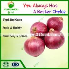 High Quality New Crop Fresh Red Onion From China