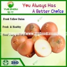 2019 New Crop Yellow Onion From China with Factory Price