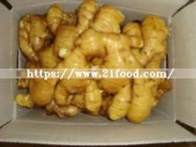 Ginger Buyers/Fresh Ginger