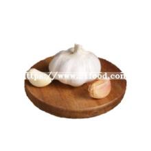 Factory Direct High Quality Bulk Natural Solo Garlic for Sale