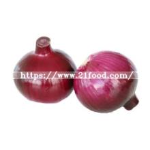 Best Selling Hot Chinese Products Good Priced Onions