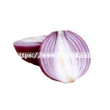 Chinese Factory Hot Sale Onion Exporters in India