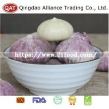 Fresh Chinese New Crop Solo Garlic