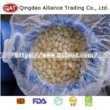 Top Quality Salted Peeled Garlic with Good Price