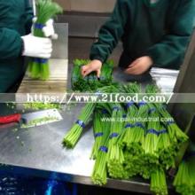 Distribute Garlic Shoot