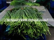 Hight Quality Chinese Fresh Garlic Stems Sprouts