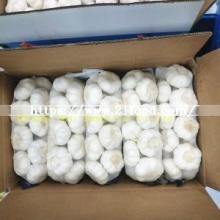 2018 New Crop Good Quality Chinese Normal/Pure White Fresh Garlic