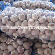 10kg 20kg Mesh Bag Fresh Normal Pure White Garlic