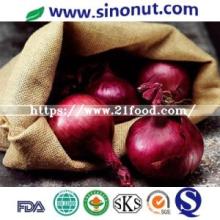  Chinese   Fresh   Onion 